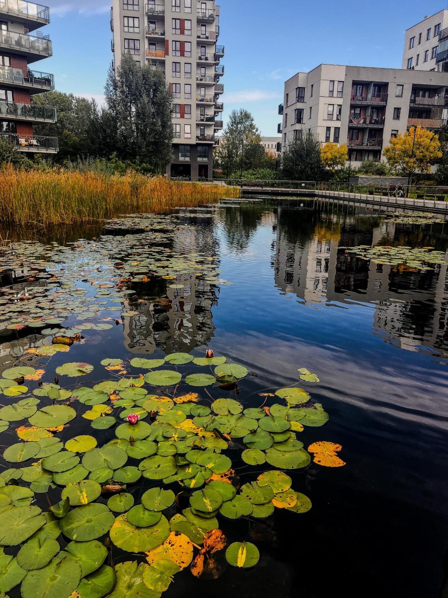 Lake Park Apartament With Free Parking Airport Netflix Varsóvia Exterior foto